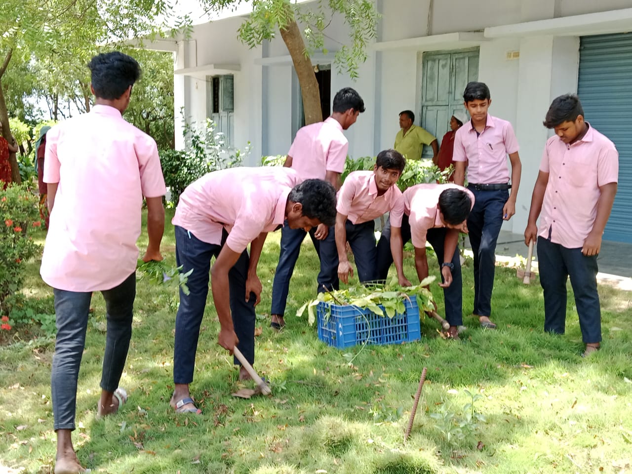 NSS - Health awareness, Campus Cleanliness